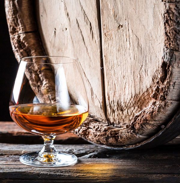 Armagnac – Château de Gensac SAS